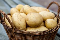 Как в погребе хранить картофель